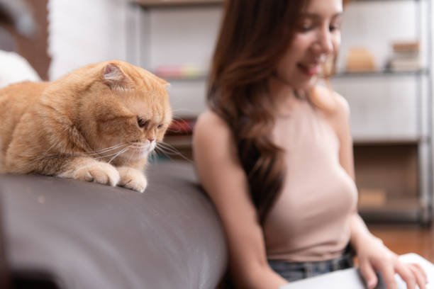 istockphoto 1495011132 612x612 (1)