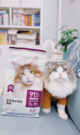 photo 1645421098569 f4bc6a5e5c99